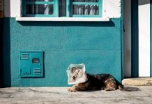 Get to Know the Lyme Disease Get to Know the Lyme Disease