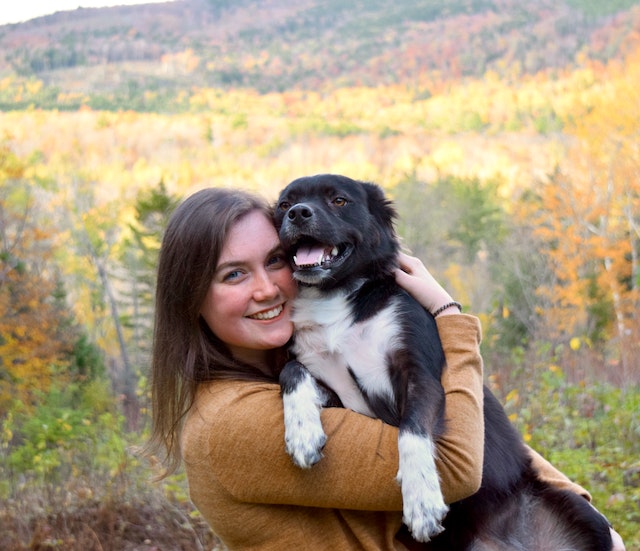 Protecting Your Puppy From Heat Exposure Protecting Your Puppy From Heat Exposure